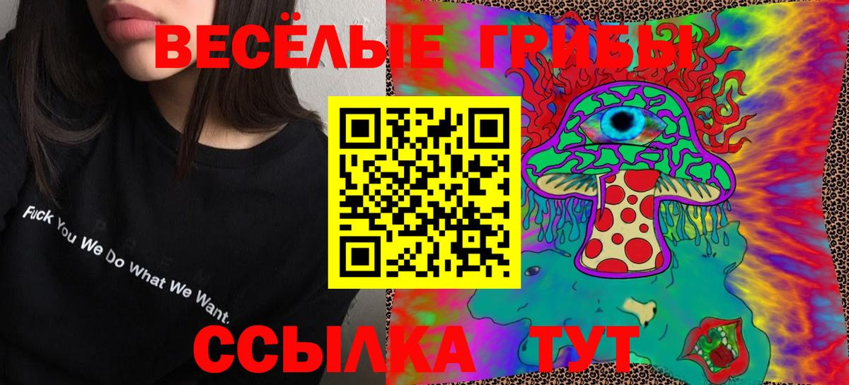 сколько стоит  Галлюциногенные грибы GOLDEN TEACHER  Вход с VPN  Тайшет 